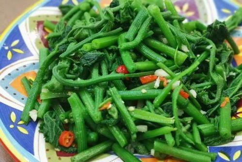 吃瓜绿色特种,探寻新型绿色食品的奥秘