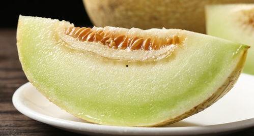 吃蜜瓜的小熊,小熊的蜜瓜探险记