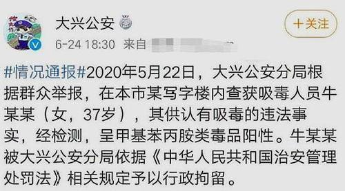 吃瓜宣言文案搞笑,吃瓜宣言里的欢乐盛宴