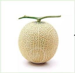 瓜子哥吃瓜头像,揭秘娱乐圈那些事儿