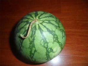 吃瓜老层,网络红人的崛起与影响