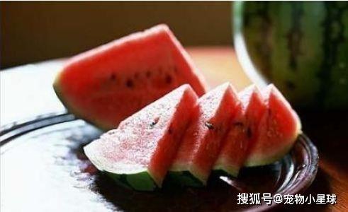 吃瓜老层,网络红人的崛起与影响