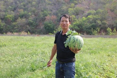 吃瓜刘雄,揭秘娱乐圈背后的真实故事