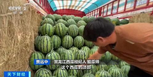 吃瓜有理爆料入口,网络舆论场的新风向标