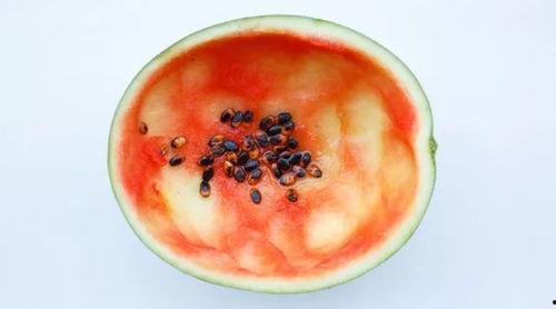 没有勺子如何吃瓜,无勺吃瓜也能尽享夏日清凉