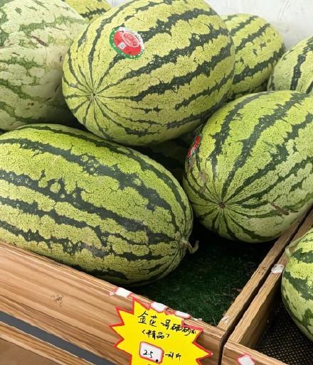 专业超级吃瓜论坛,热门话题背后的真相与笑料