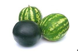 文安吃瓜事件,一场网络舆论的风暴与反思