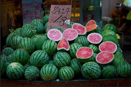 吃瓜上海路,吃瓜者的美食之旅