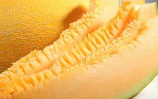 不甜的哈密瓜怎么吃,不甜哈密瓜的多样食法探索