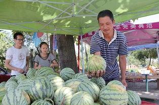 济源宣化街吃瓜