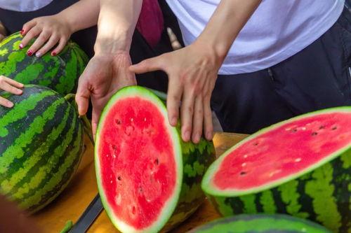 吃瓜改花刀,刀工精湛——吃瓜改花刀的艺术之旅