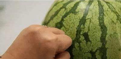 喝瓜前和吃瓜后,揭秘吃瓜群众的奇妙转变