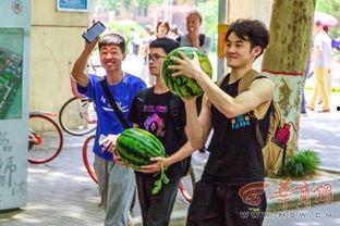 西北大学吃瓜,吃瓜群众揭秘校园热点事件