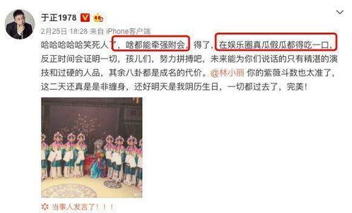 吃瓜课本内容,揭秘娱乐圈背后的真相与秘密