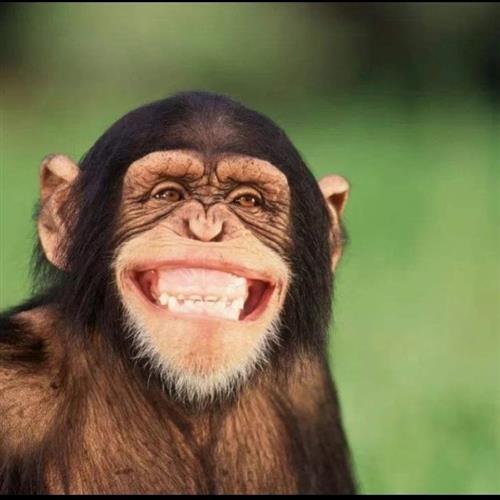 微笑黑脸吃瓜视频,揭秘网络短视频的趣味魅力