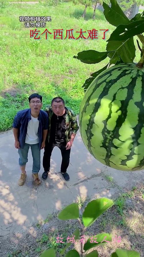 获得吃瓜动作,揭秘吃瓜群众的独特动作魅力