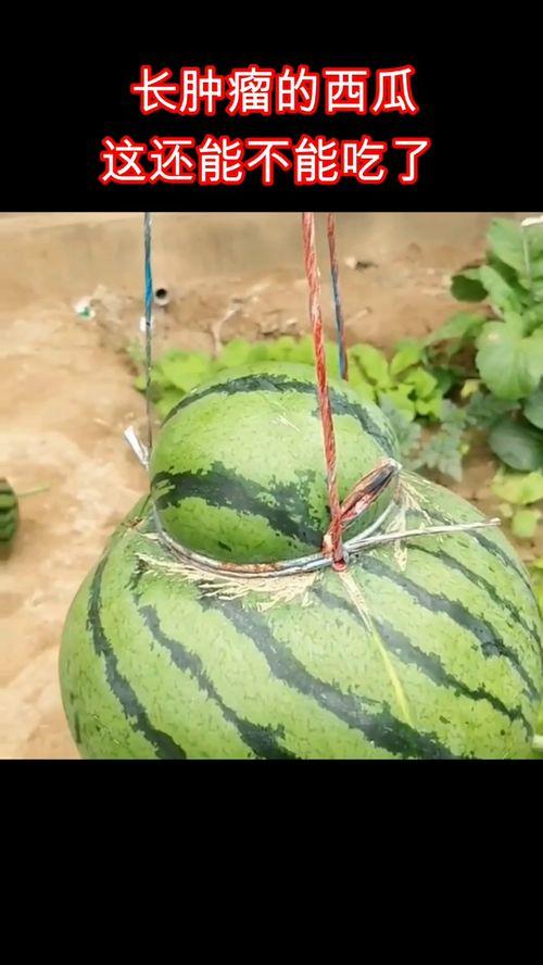 肿瘤吃瓜,瓜类食材的神奇功效