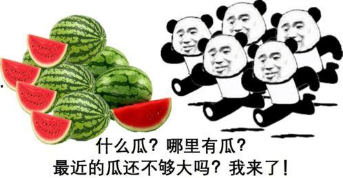 上头了吃瓜,网络热点的狂欢与反思