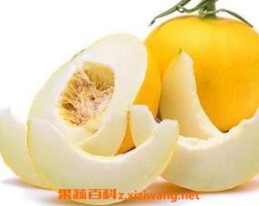 吃伊丽莎白瓜上火
