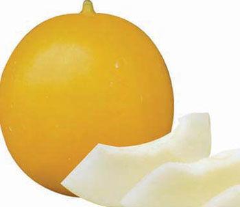 吃伊丽莎白瓜上火