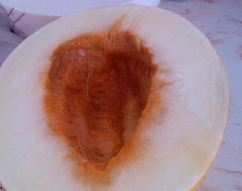 吃伊丽莎白瓜上火